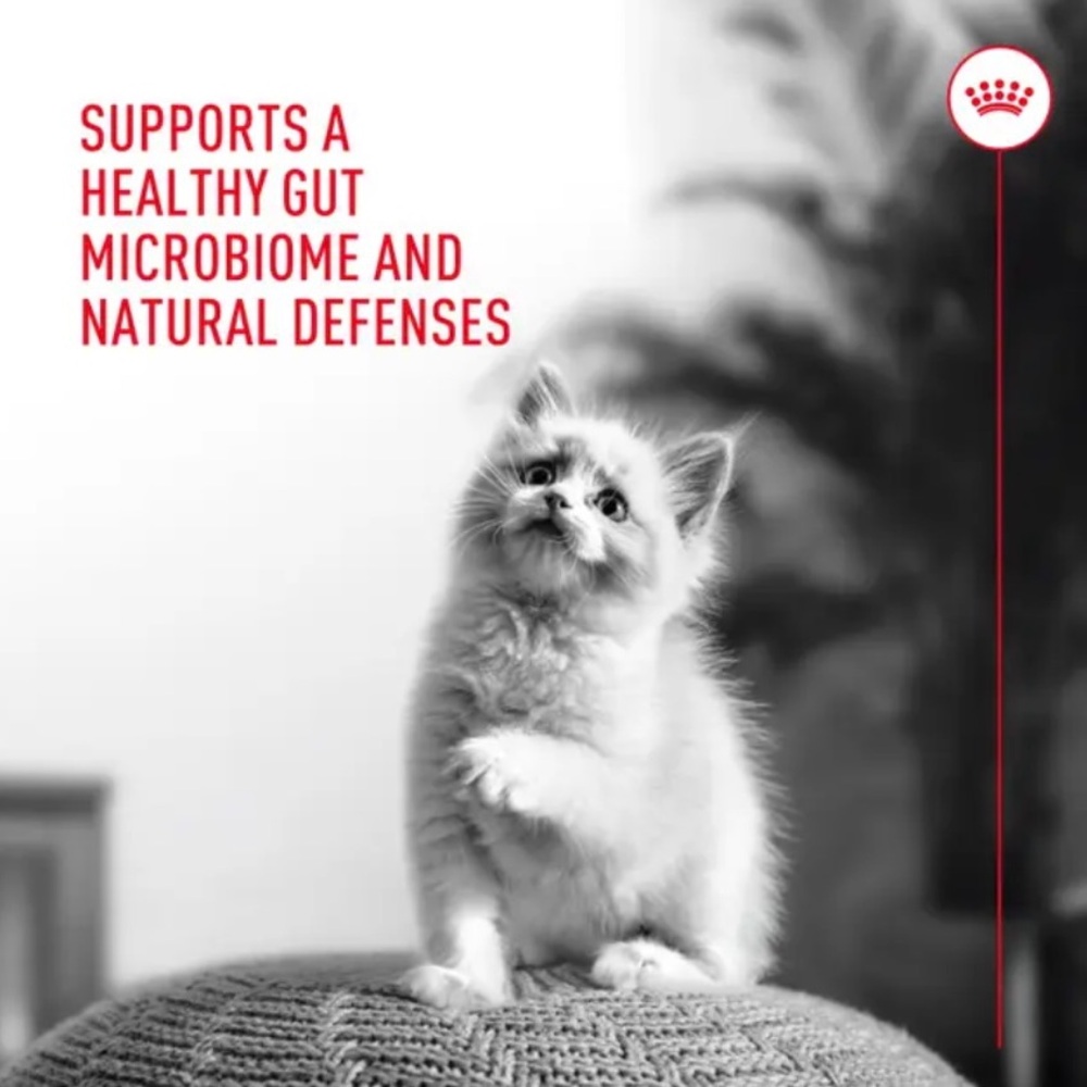 ROYAL CANIN Probiotics for cats - Picture 7 of 8